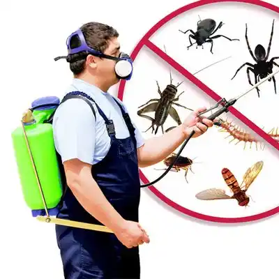 pest control East Hampton North